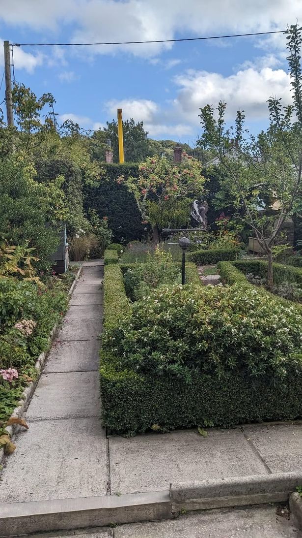 i-havent-stopped-crying-as-new-camera-ruins-our-stunning-garden