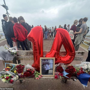 The court was also told how Ryan had 'died in terror' as he tried to take the wheel in the final moments of his life